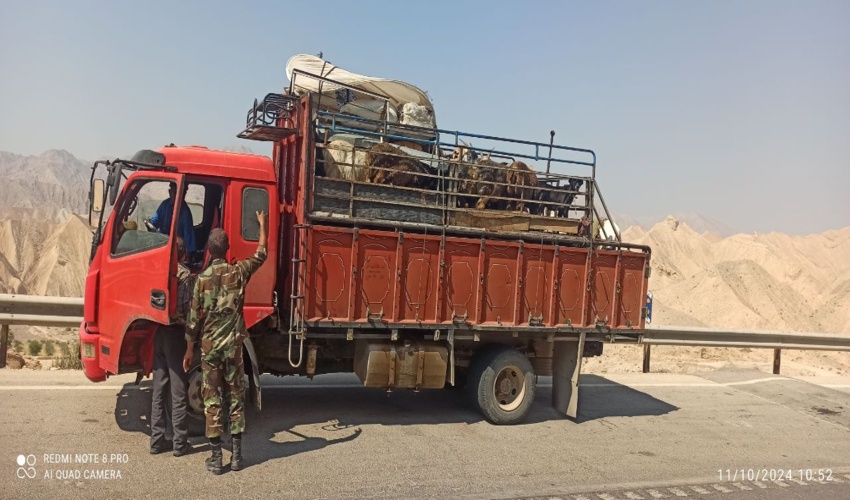  برقراری ایستگاه کنترل کوچ پاییز ۱۴۰۳ در استان بوشهر 