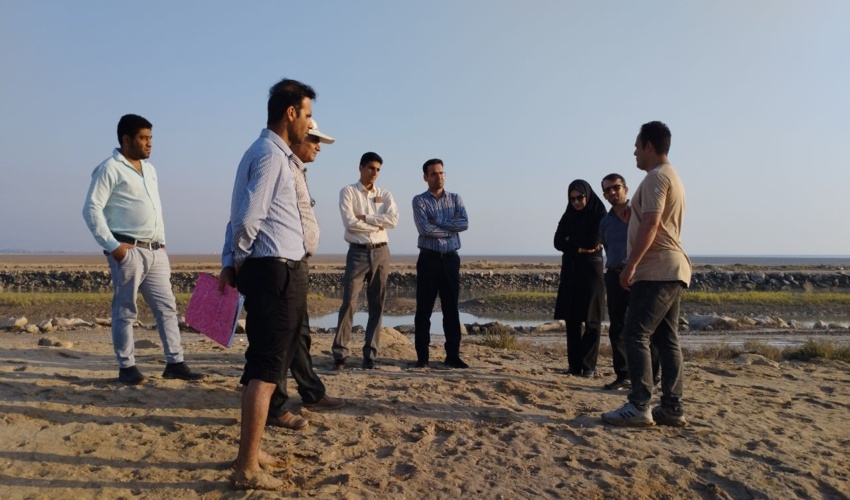  بازدید از پروژه نهال کاری حرا ساحل چاه تلخ تنگستان