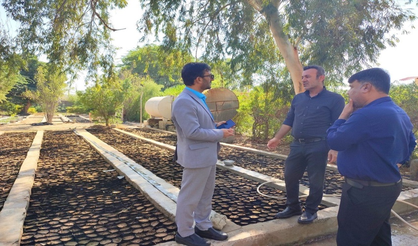  بازدیدسر زده  رییس اداره حراست اداره کل منابع طبیعی و آبخیزداری استان از اداره منابع طبیعی و آبخیزداری شهرستان بوشهر و نهالستان مرکزی 