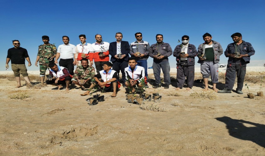 برگزاری پویش کاشت نهال  در سایه سار مادر در تکریم مقام مادر در شهرستان دیر 