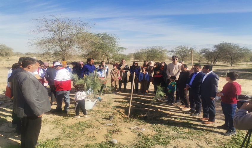 برگزاری پویش در سایه مادر در دشتستان 