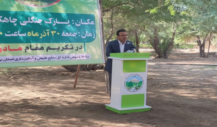 چهار میلیون اصله نهال در استان بوشهر تولید شد