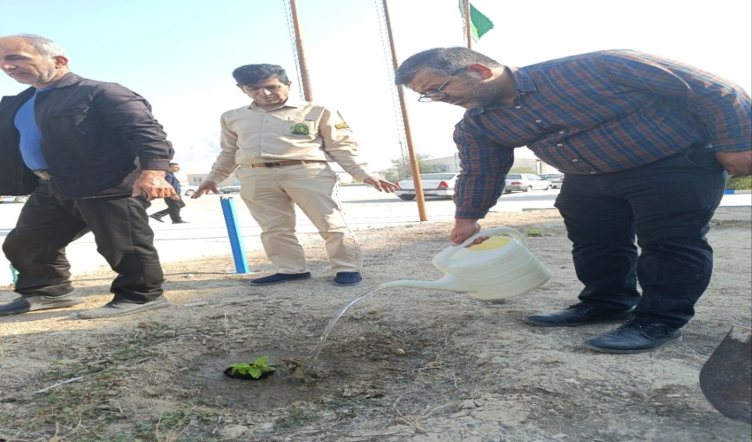 پویش سراسری درختکاری در تکریم مقام پدر در شهرستان تنگستان