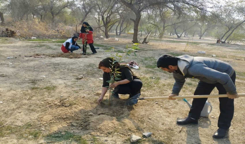برگزاری پویش سراسری کاشت نهال به مناسب سالروز ولادت امام علی (ع) و بزرگداشت روز پدر در پارک جنگلی عامری شهرستان دیلم