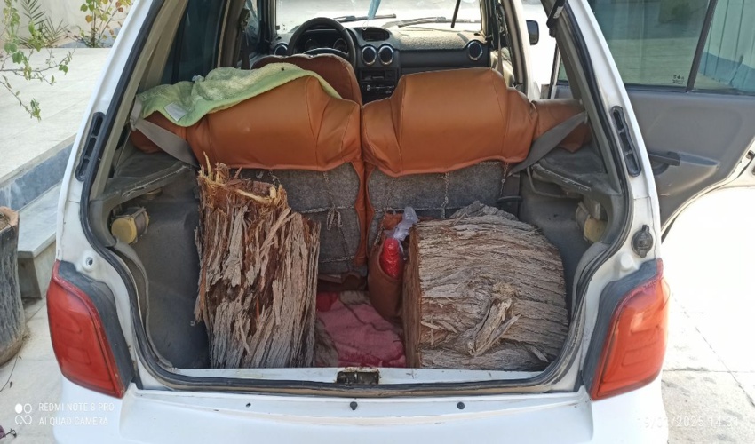 توقیف خودرو پراید حامل چوب غیر مجاز در تنگستان