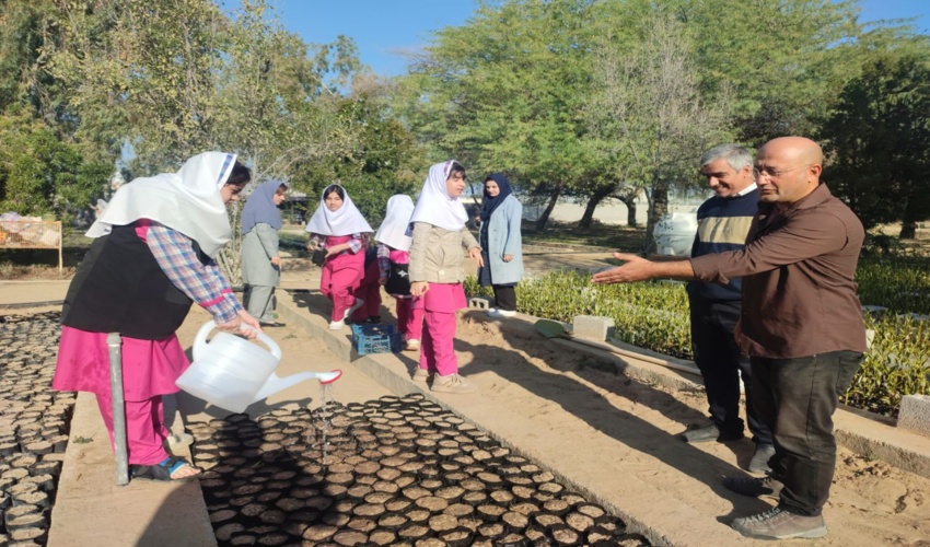 برگزاری کلاس آموزشی در نهالستان مرکزی بوشهر