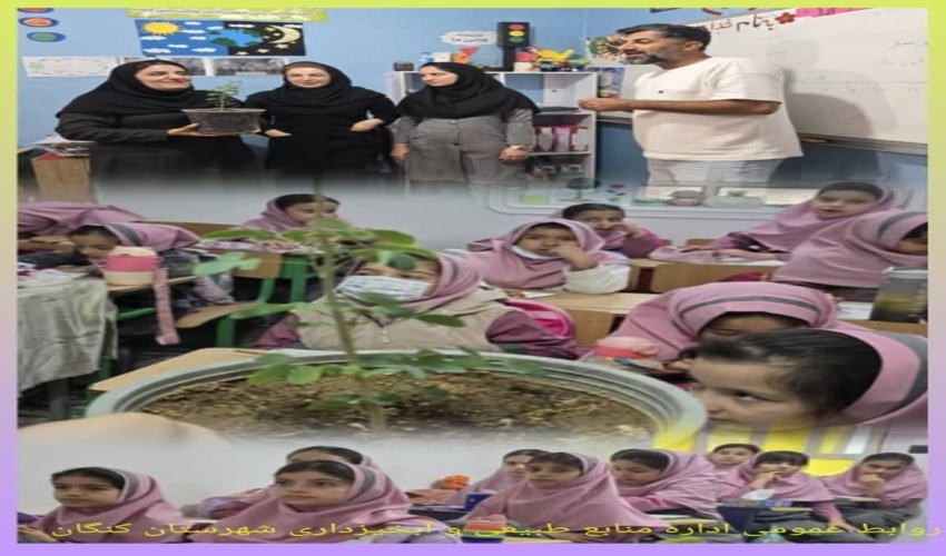 برگزاری کلاس آموزشی ترویجی کاشت و حفاظت از عرصه های منابع طبیعی در مدرسه فرشته گان نوین شهرستان کنگان