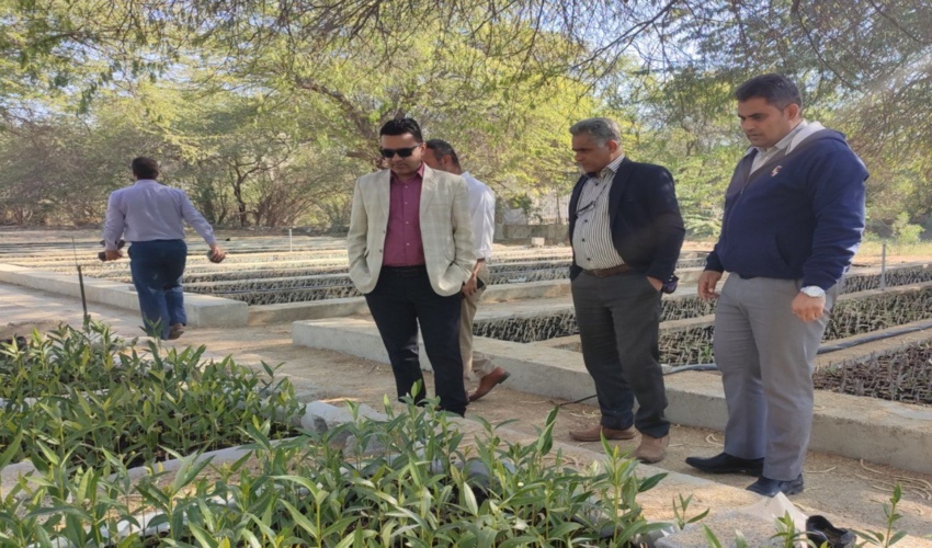 در راستای اجرای طرح مردمی کاشت یک میلیارد درخت 