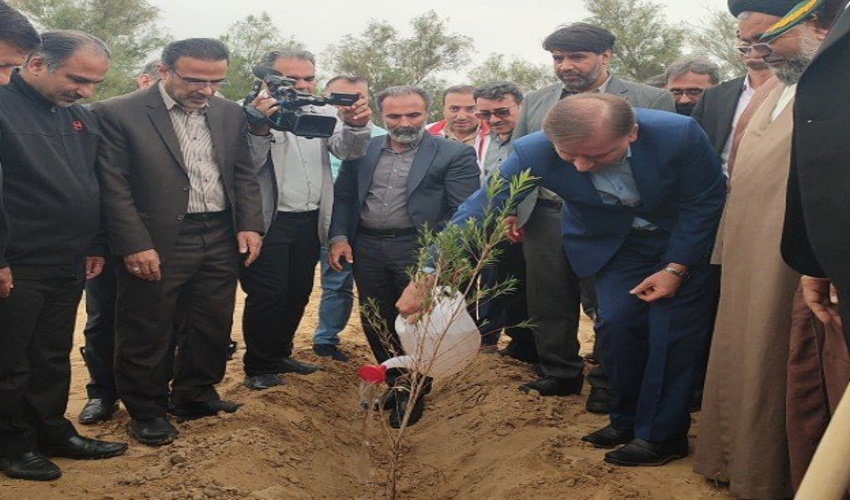 اجرای پویش درختکاری جان ایران همزمان با اولین روز از هفته منابع طبیعی